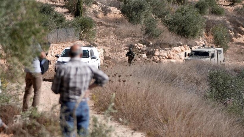 Palestinezët dokumentojnë mbi 150 sulme nga kolonët izraelitë që nga fillimi i sezonit të vjeljes së ullinjve