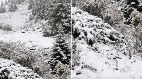 Kodra e Diellit mbulohet nga bora