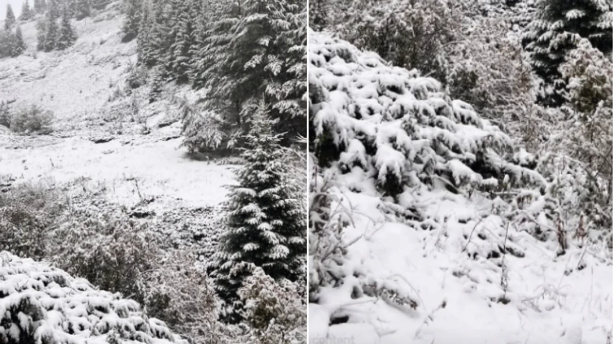 Kodra e Diellit mbulohet nga bora
