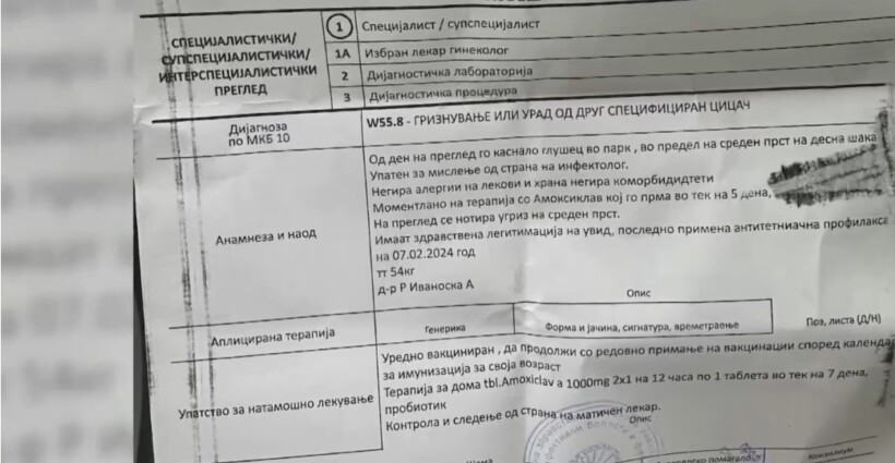E pazakontë, miu kafshon një fëmijë të moshës 10 vjeçare në Shkup