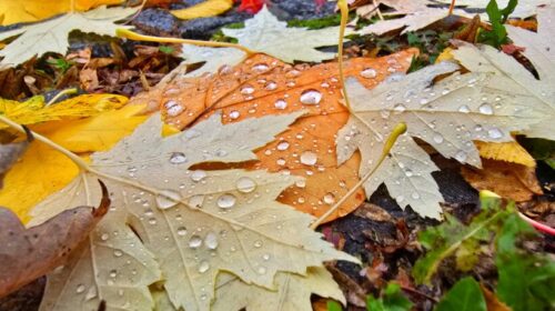 Moti sot në Maqedoninë e Veriut