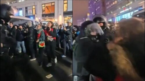 Deputetja gjermane goditet me grusht nga policia gjatë protestës propalestineze