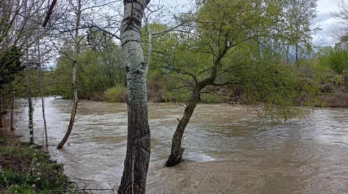 Reshje të dendura shiu shkaktojnë përmbytje dhe rrëshqitje dheu në disa komuna të vendit