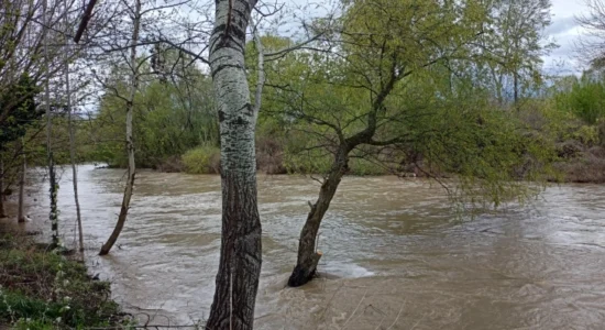Reshje të dendura shiu shkaktojnë përmbytje dhe rrëshqitje dheu në disa komuna të vendit