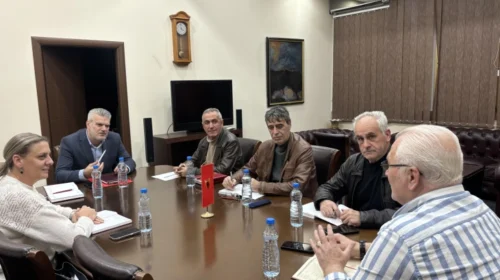 U konstitua Këshilli Koordinativ i PDSH-së, kryesues u zgjodh Imer Aliu