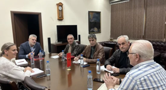 U konstitua Këshilli Koordinativ i PDSH-së, kryesues u zgjodh Imer Aliu