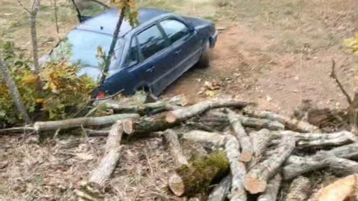 Arrestohen pesë persona nga Prilepi për prerje joligjore të druve