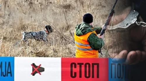Dolën për gjueti dhe nga pakujdesia vrau shokun e vet, kallëzim penal ndaj personit të dyshuar