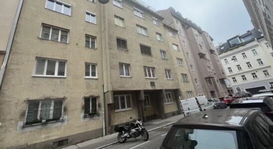 Therën për vdekje një burrë në Vjenë, arrestohen një kroat dhe një serbe