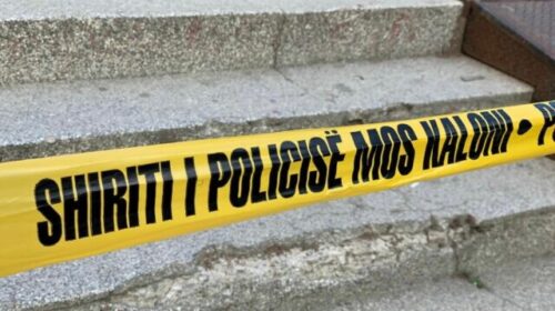 Këta janë dy vëllezërit që u vranë nga burri i motrës së tyre