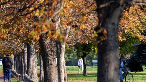 Mot me diell, pasdite në disa lugina me kushte për mjegull
