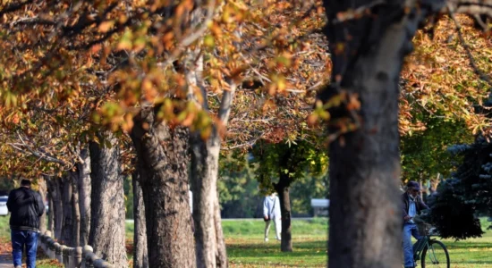 Mot me diell, pasdite në disa lugina me kushte për mjegull