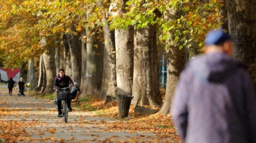 Paradite me mjegull, pasdite me diell