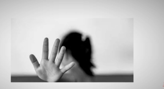 (VIDEO) Tmerr në Vollkovë, një 23 vjeçar ka përdhunuar tre muaj rresht një vajzë 5 vjeçare