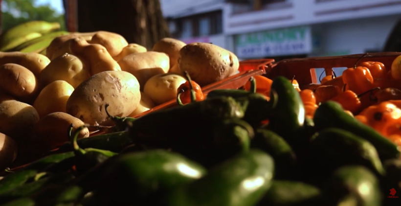 (VIDEO) Asgjësohen mbi 20 tonë patate “pomfrit” me afat të skaduar