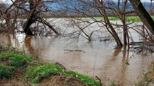 (VIDEO) Përmbytje nga reshjet e mëdha në disa zona të vendit