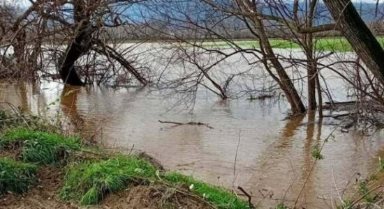 (VIDEO) Përmbytje nga reshjet e mëdha në disa zona të vendit