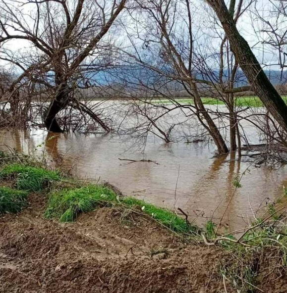(VIDEO) Përmbytje nga reshjet e mëdha në disa zona të vendit