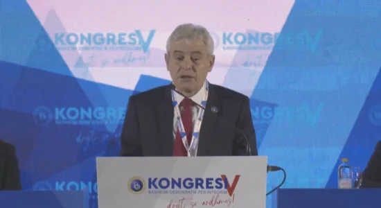 Ahmeti: BDI mbron karakterin unitar të shtetit