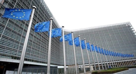 Një grup eurodeputetësh kërkojnë nga liderët e BE-së heqjen e menjëhershme të të gjitha masave ndaj Kosovës