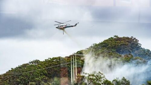 Zjarret në Australi djegin mijëra hektarë, humb jetën një zjarrfikës