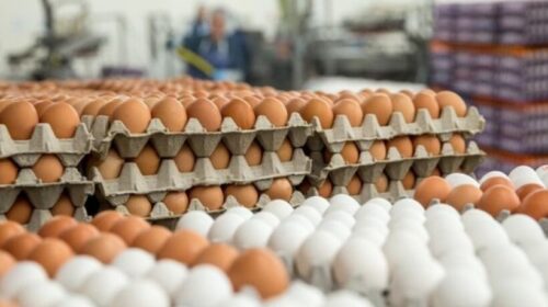 (VIDEO) Rritet çmimi i vezëve, qytetarët të shqetësuar: çdo ditë po bëhet më keq