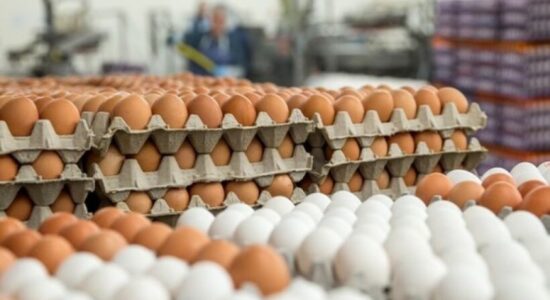 (VIDEO) Rritet çmimi i vezëve, qytetarët të shqetësuar: çdo ditë po bëhet më keq