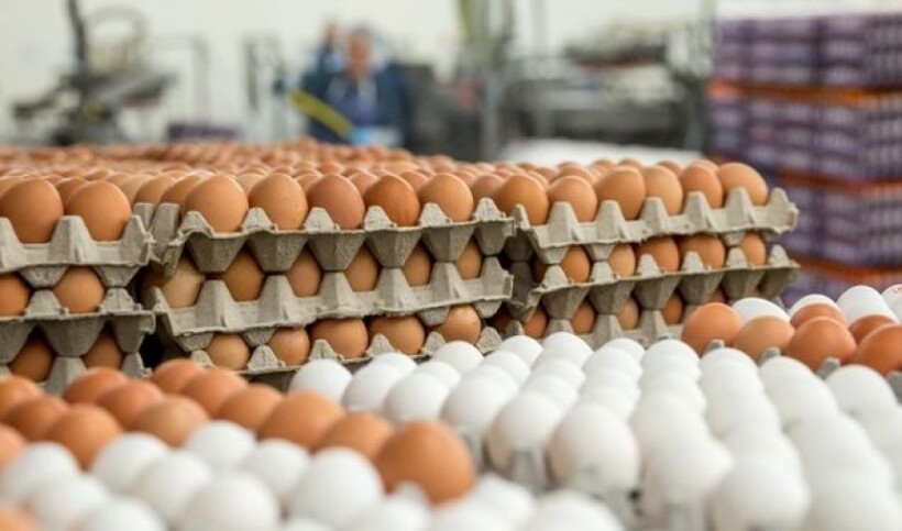 (VIDEO) Rritet çmimi i vezëve, qytetarët të shqetësuar: çdo ditë po bëhet më keq