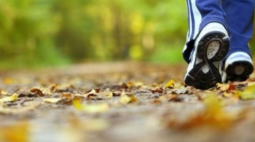 Studimi: Ecja e shpejtë mund të ngadalësojë procesin biologjik të plakjes