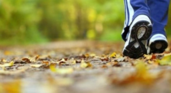 Studimi: Ecja e shpejtë mund të ngadalësojë procesin biologjik të plakjes