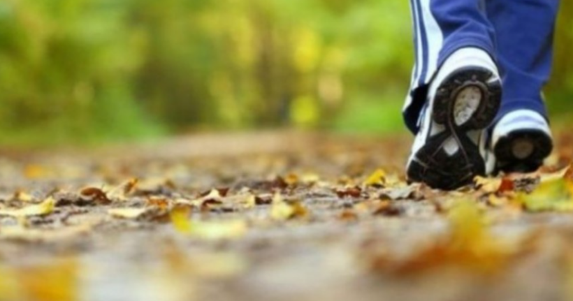 Studimi: Ecja e shpejtë mund të ngadalësojë procesin biologjik të plakjes