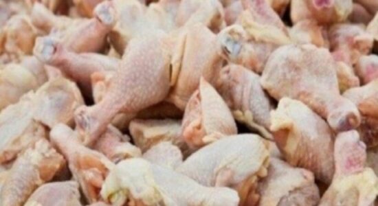 Ndalohet importi i mbi 26 tonëve mish pule nga Brazili