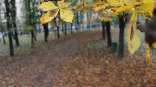 DPHM: Java e ardhshme sjell stabilizim të motit dhe temperatura më të larta