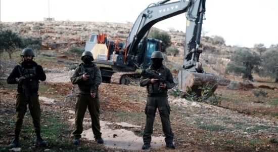 Sulmet izraelite shkaktojnë humbje prej 7 milionë dollarësh në tokat bujqësore palestineze brenda një jave