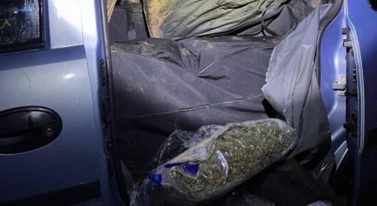 Bastisje në Bërvenicë: MPB sekuestron armë, drogë dhe para, ndalohen pesë persona