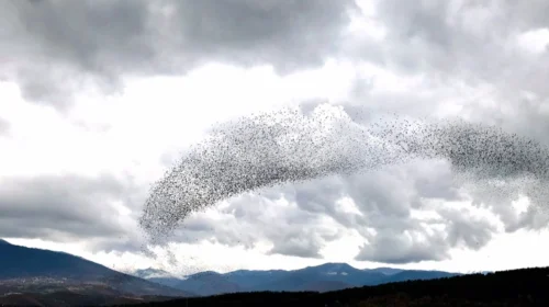 Në mëngjes mjegull, pastaj shi i përkohshëm dhe borë