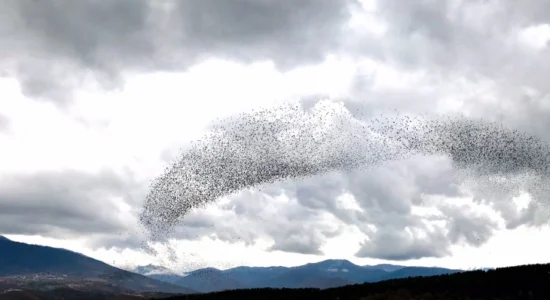 Në mëngjes mjegull, pastaj shi i përkohshëm dhe borë
