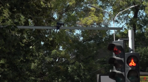 (VIDEO) 18-vjeçari që shkeli për vdekje 79-vjeçaren arratiset jashtë vendit