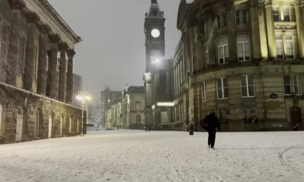 13 viktima nga acari në Evropë  Anglia dhe Franca kaos me udhëtimet  mbyllen edhe shkollat