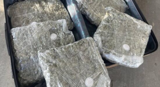 Arrestohet një 31-vjeçar nga Kumanova, në automjet i gjenden mbi pesë kilogramë marihuanë