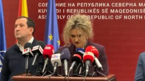 VLEN: Fronti Evropian sillet në mënyrë destruktive ndaj çështjeve që janë të rregulluara me procedurë parlamentare