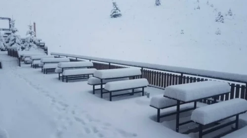 Në Kodrën e Diellit trashësia e borës ka arritur në 24 centimetra