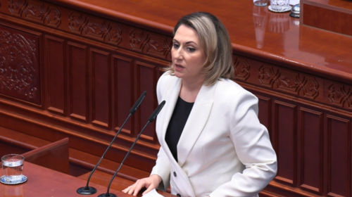 Rina Ajdari për “Safe City”: Nuk votojmë kundër vullnetit të qytetarëve!