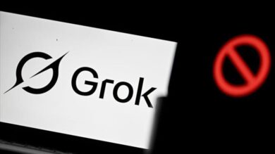 Grok. Foto: AA