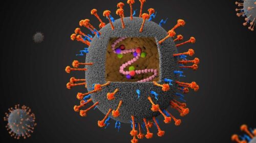 Rrezik nga epidemia – Azia merr masa ndaj virusit Nipah