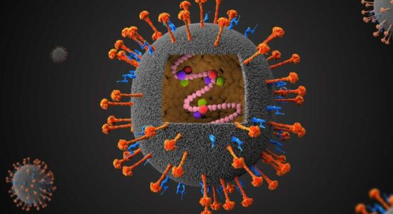 Rrezik nga epidemia – Azia merr masa ndaj virusit Nipah