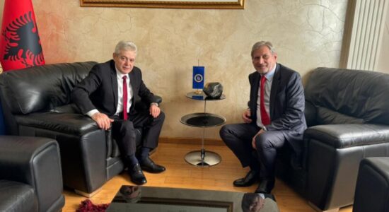 Ali Ahmeti takon Johannes Hahn: Integrimi në BE mbetet prioritet i pakontestueshëm