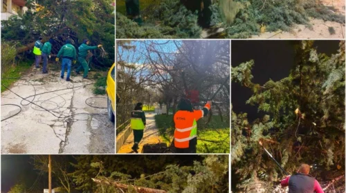 Gjorgjievski: Shërbimet në terren pas motit të keq, apeloj për kujdes