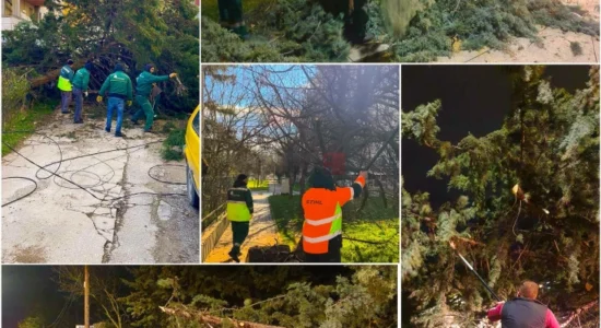 Gjorgjievski: Shërbimet në terren pas motit të keq, apeloj për kujdes