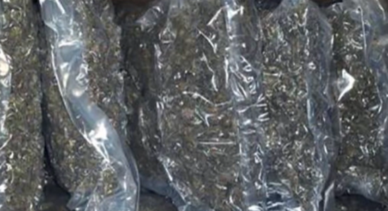 (VIDEO) LSDM kërkon hetim për drogën e Maqedonisë që u kap në Serbi